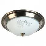 Потолочный светильник TopLight Molly TL5020Y-02AB 