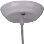 Подвесной светильник Arte Lamp Passero A4289SP-1WH 