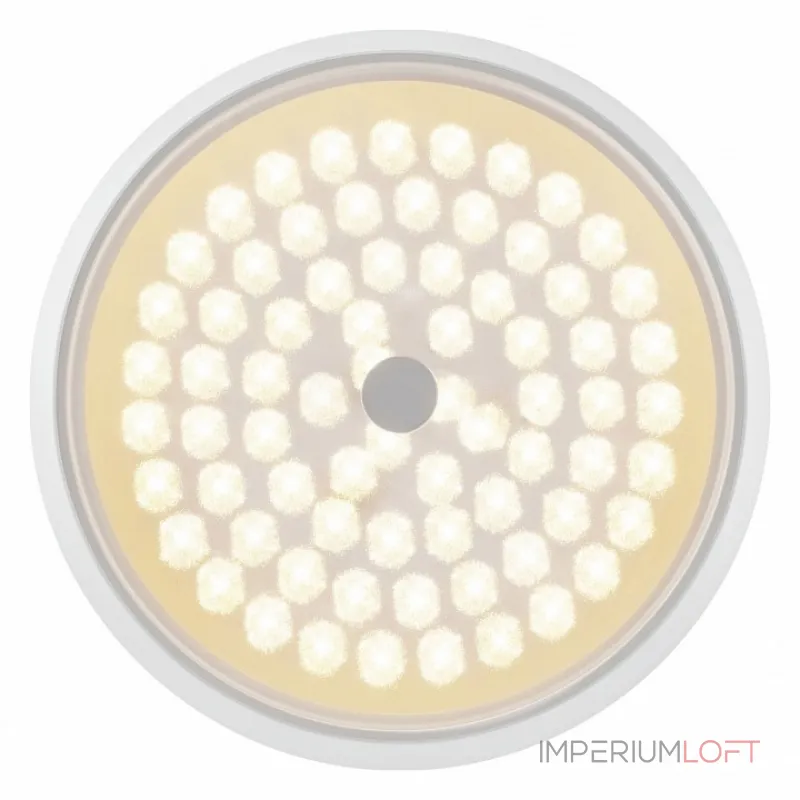 Накладной светильник Freya LED FR10012CL-L24W Цвет плафонов белый Накладной светильник Freya LED FR10012CL-L24W Цвет плафонов белый