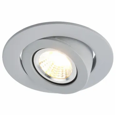 Встраиваемый светильник Arte Lamp 4049 A4009PL-1GY Цвет арматуры серый Цвет плафонов белый