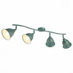Спот Arte Lamp Campana A9557PL-4BG Цвет арматуры Зеленый Цвет плафонов зеленый