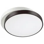 Потолочный светильник Lumion Agatha 4509/72CL 