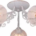 Потолочная люстра TopLight Megan TL3800X-05WG 