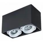 Накладной светильник Arte Lamp Pictor A5654PL-2BK Цвет арматуры черный Цвет плафонов белый