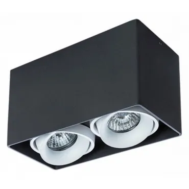 Накладной светильник Arte Lamp Pictor A5654PL-2BK Цвет арматуры черный Цвет плафонов белый