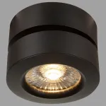 Накладной светильник Maytoni Treviso C023CL-L20B Цвет арматуры черный Цвет плафонов черный от ImperiumLoft