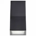 Накладной светильник ST-Luce SL088 SL088.431.02 Цвет арматуры черный Цвет плафонов черный
