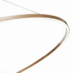 Подвесная люстра ST-Luce ST605 DOWN ST605.243.72 