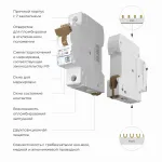 Автоматический выключатель 1P Werkel Автоматические выключатели W901P404 от ImperiumLoft