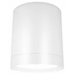 Накладной светильник Maytoni Hoop C086CM-GX53-MRD-W