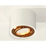 Накладной светильник Ambrella Techno 263 XS7510004 Цвет арматуры золото от ImperiumLoft