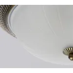 Накладной светильник MW-Light Ариадна 6 450015603 от ImperiumLoft