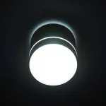 Накладной светильник Citilux Борн CL745020N