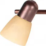 Спот TopLight Maxine TL1235Y-03AB Цвет арматуры бронза Цвет плафонов белый