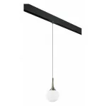Подвесной светильник Lightstar Globo PRO813011