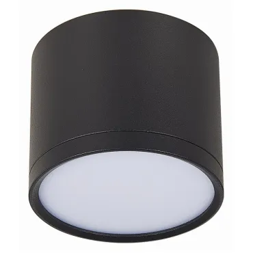 Накладной светильник ST-Luce Rene ST113.442.09 Цвет арматуры черный Цвет плафонов черный от ImperiumLoft