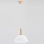 Подвесной светильник Alfa Fotyn 9725 