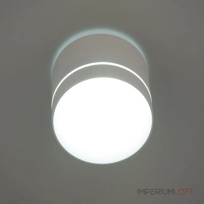 Накладной светильник Citilux Борн CL745020N