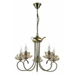 Подвесная люстра Arte Lamp 1750 A1750LM-5AB 