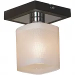 Светильник на штанге Lussole Costanzo LSL-9007-01 Цвет арматуры хром