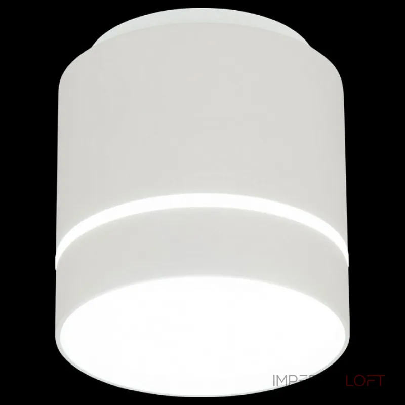 Накладной светильник Citilux Борн CL745020N