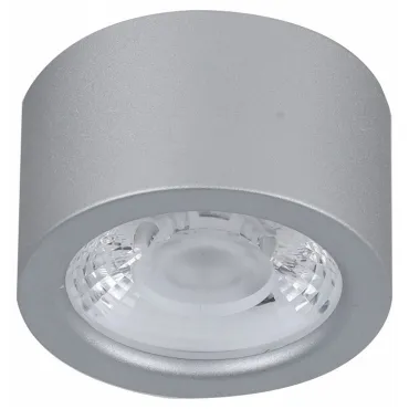Накладной светильник Favourite Deorsum 2808-1U Цвет арматуры серебро Цвет плафонов серебро
