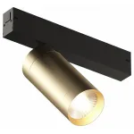 Светильник на штанге Denkirs Smart DK8020-BG от ImperiumLoft