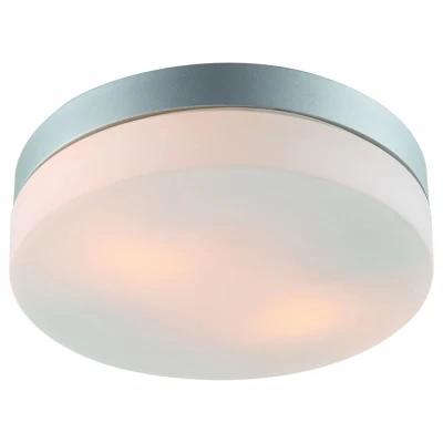 Потолочный светильник Arte Lamp Aqua A3211PL-2SI 