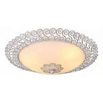 Потолочный светильник Arte Lamp Fleece A4554PL-2WG