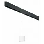 Подвесной светильник Lightstar Rullo PRORP3486