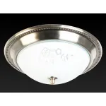 Потолочный светильник TopLight Molly TL5020Y-02AB 