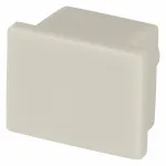 Заглушка для профиля Maytoni ALM005EC