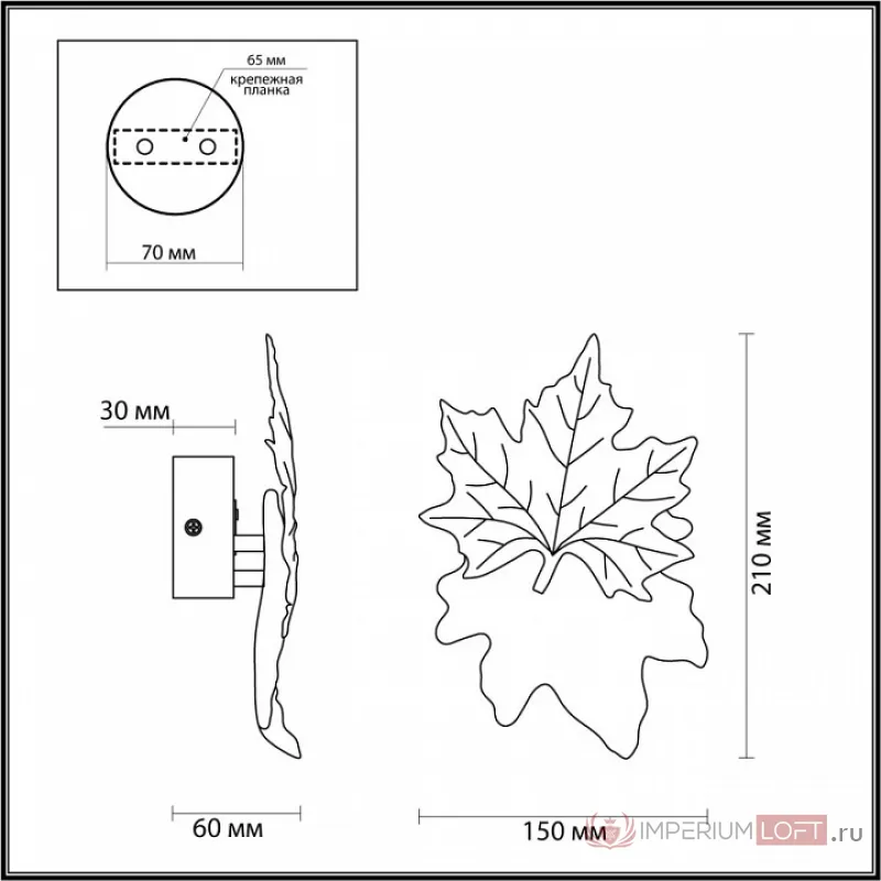 Накладной светильник Odeon Light Eva 4371/3WL от ImperiumLoft