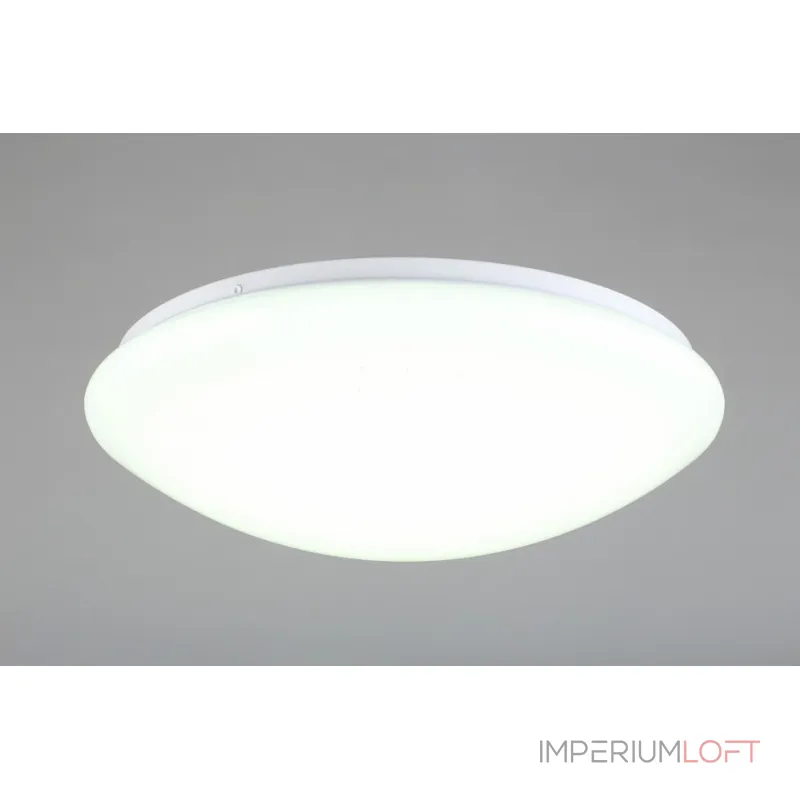 Накладной светильник Omnilux Berkeley OML-43007-40