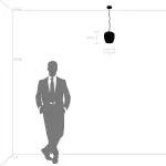 Подвесной светильник Lightstar Arnia 805011 