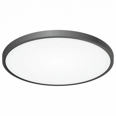 Потолочный светильник Citilux Бейсик CL738401V