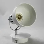 Спот Lussole LGO GRLSP-9955 от ImperiumLoft
