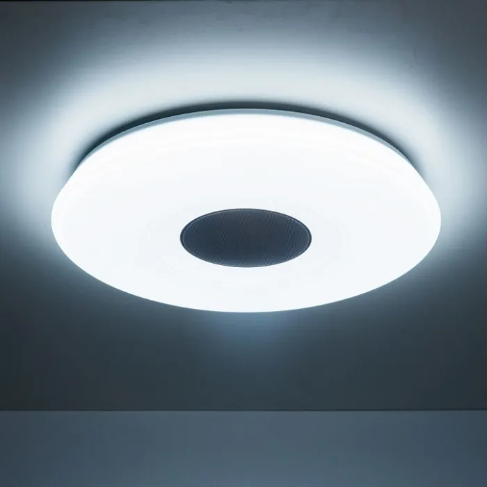 Накладной светильник Citilux Light & Music CL703M61 от ImperiumLoft