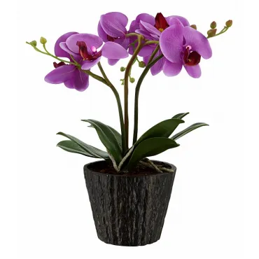 Растения в горшке Globo FlowerPower 28003