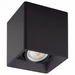 Накладной светильник Denkirs DK303 DK3030-BK от ImperiumLoft