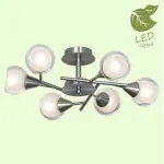 Потолочная люстра Lussole LGO-21 GRLSP-0141