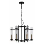 Подвесная люстра Arte Lamp Hugo A1688LM-6BK 