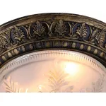 Потолочный светильник Arte Lamp Piatti A8005PL-2BN 