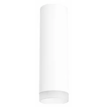 Накладной светильник Lightstar Rullo R649680 Цвет арматуры белый Цвет плафонов белый