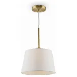 Подвесной светильник Freya FR5119PL-01BS