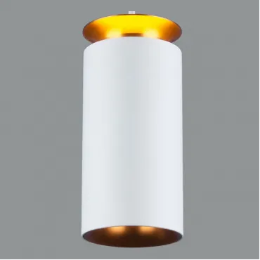 Подвесной светильник Elektrostandard DLS021 a045501 Цвет арматуры белый Цвет плафонов белый
