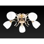 Потолочная люстра TopLight Lenore TL3530X-05FG 