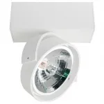 Потолочный светильник Donolux DL18407 DL18407/11WW-White
