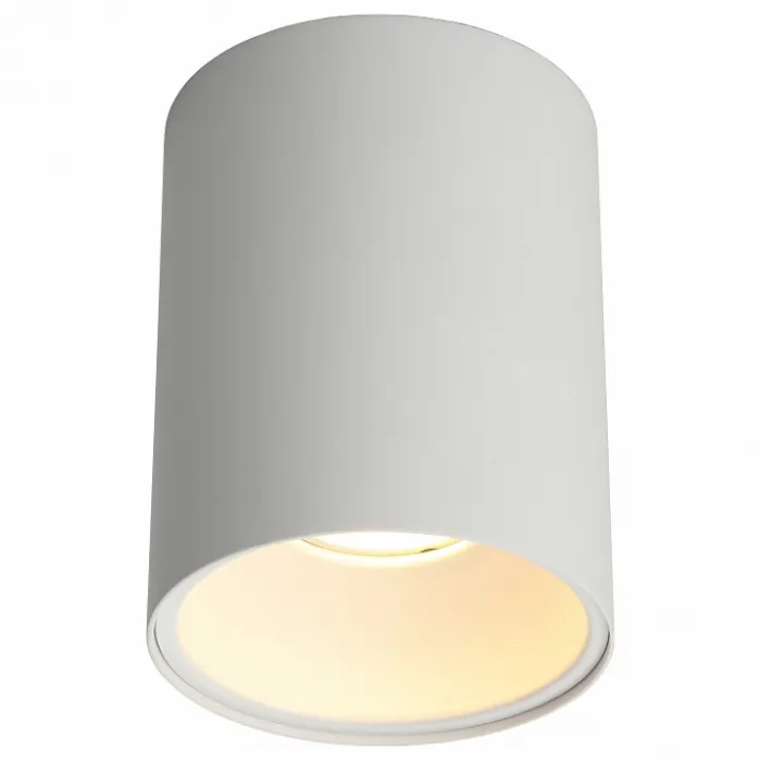 Накладной светильник Omnilux Cariano OML-101209-01 от ImperiumLoft