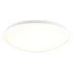 Накладной светильник Omnilux Berkeley OML-43007-40